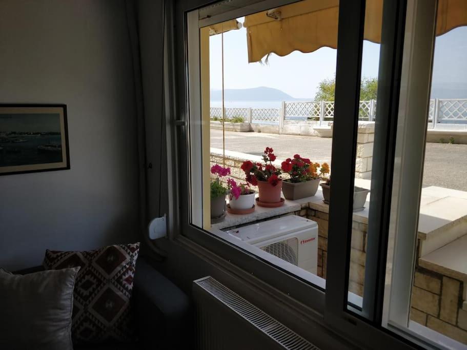 Ionian Blue Studio Preveza Esterno foto